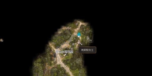 博德之门3不和谐音获得方法