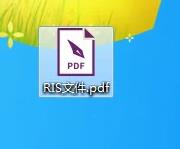 ris文件怎么转为PDF
