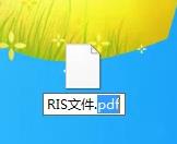 ris文件怎么转为PDF