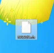 ris文件怎么转为PDF