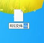 ris文件怎么转为PDF
