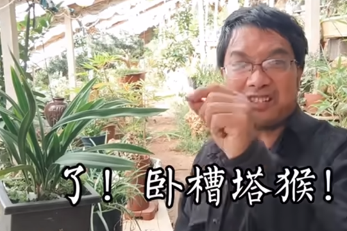 塔猴居士是什么意思
