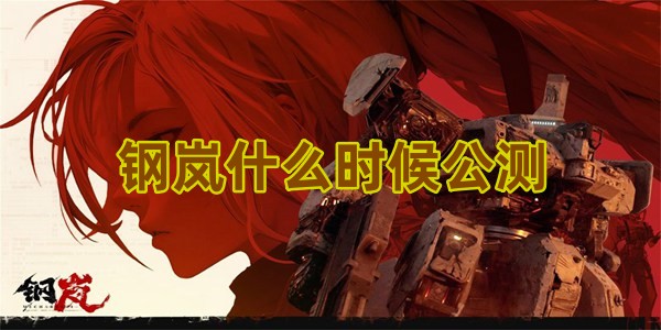 钢岚什么时候公测