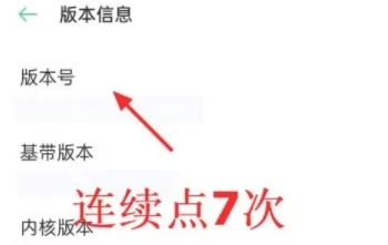 oppok10打开开发者选项的方法
