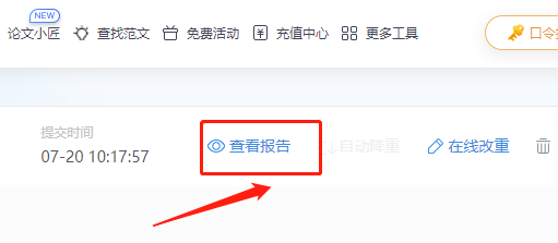 paperyy全文对照报告pdf怎么下载