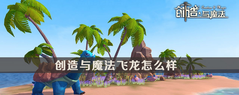 创造与魔法飞龙介绍