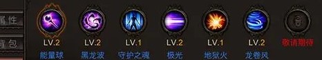全民奇迹五转法师技能搭配