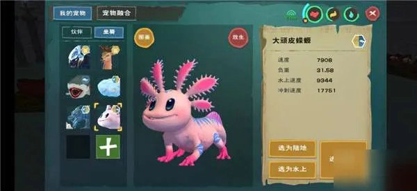 创造与魔法捕捉蝾螈需要什么