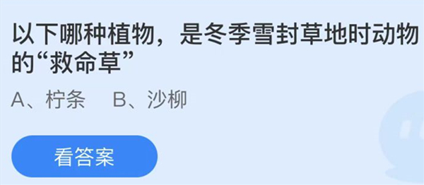 蚂蚁庄园：以下哪种植物是冬季雪封草地时动物的救命草