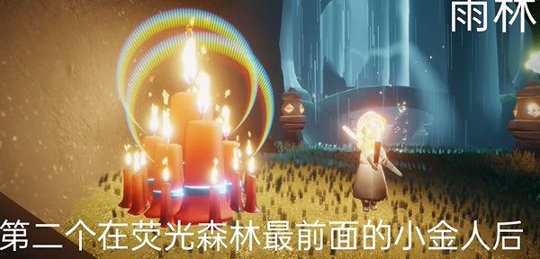光遇9月25日雨林大蜡烛堆位置攻略