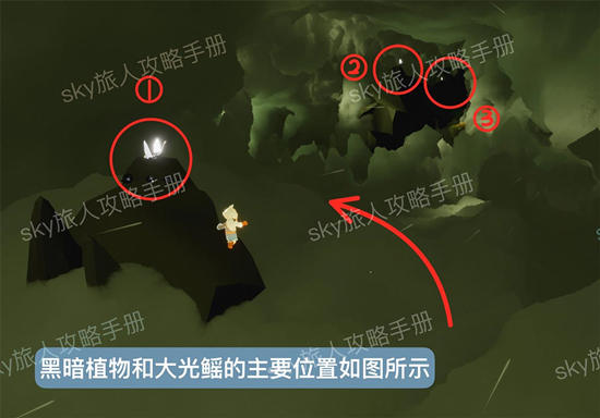 光遇风行季第五个任务方法