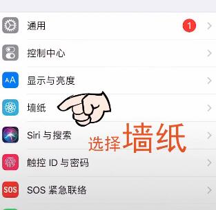 ios怎么设置抖音动态壁纸