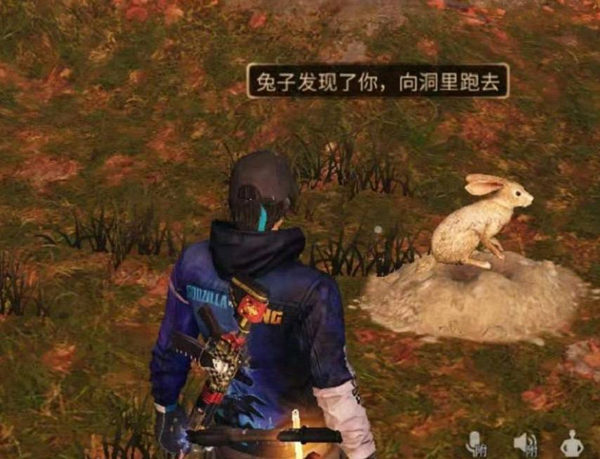 明日之后兔子捕捉方法